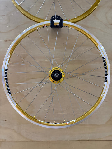 Mini 28h Dangerboy Wheelset Gold