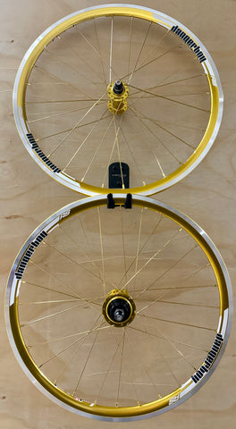 Expert 28h Dangerboy Wheelset  Gold