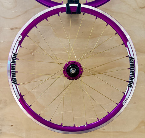 Expert 28h Dangerboy Wheelset Purple