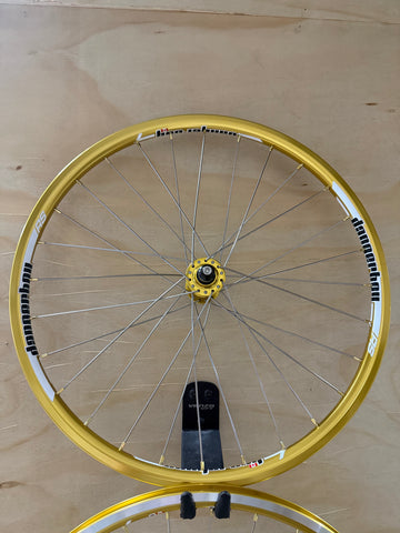 Mini 28h Dangerboy Wheelset Gold