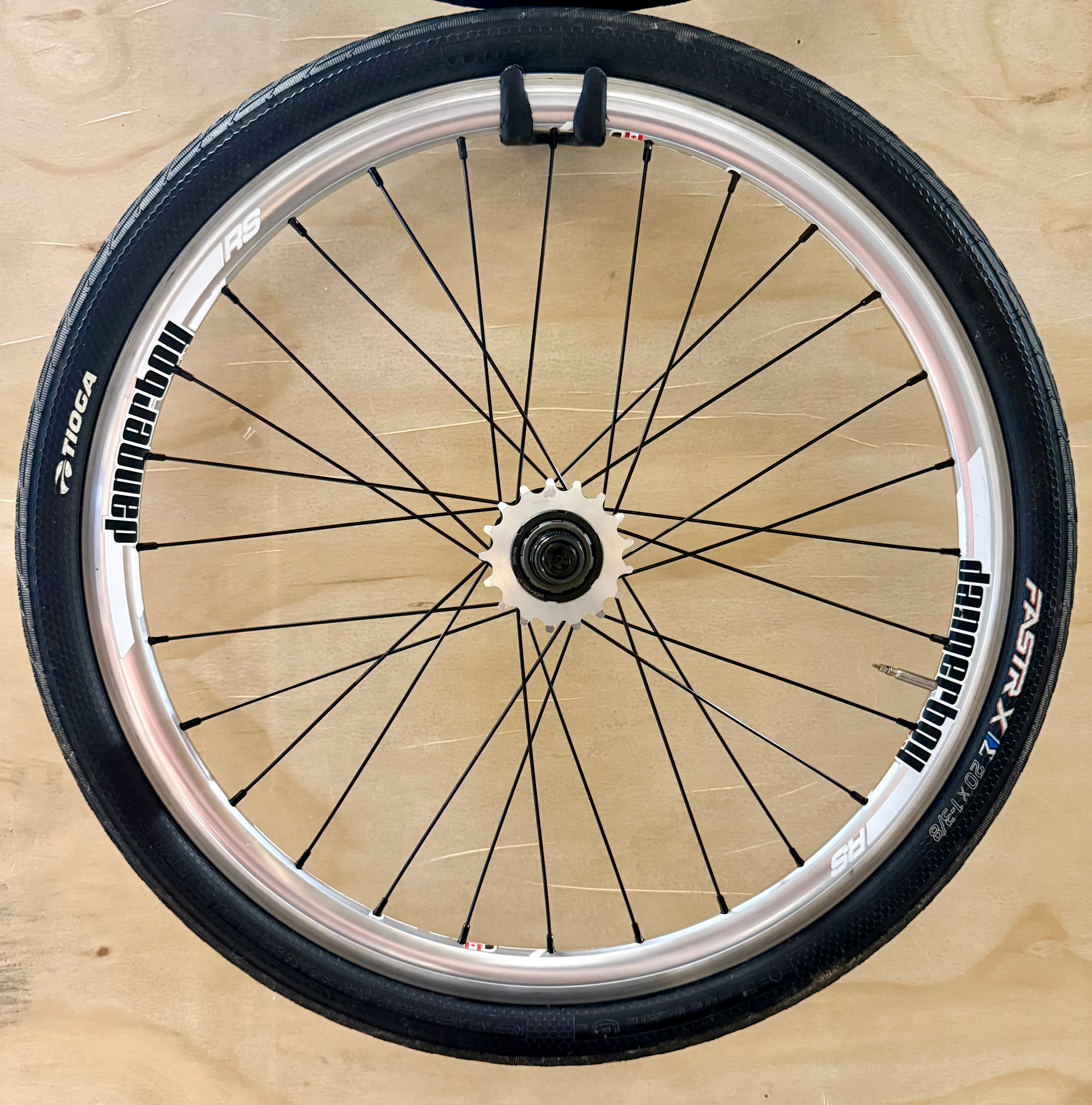 Bicycle wheel with black tire and silver rim on a beige background
