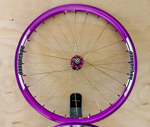 Expert 28h Dangerboy Wheelset Purple