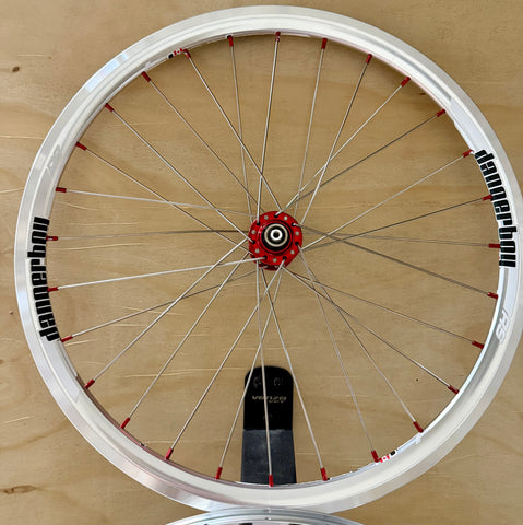 Expert 28h Dangerboy Wheelset Silver
