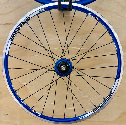 Mini 28h Dangerboy Wheelset Blue