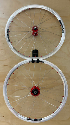 Expert 28h Dangerboy Wheelset Silver
