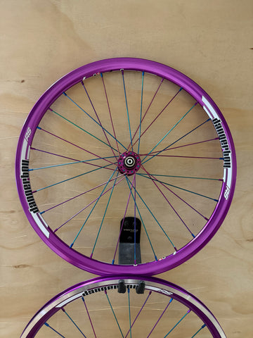 Expert 28h Dangerboy Wheelset Purple