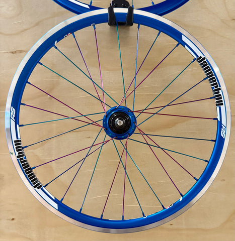 Expert 28h Dangerboy Wheelset Blue