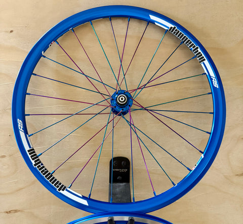 Expert 28h Dangerboy Wheelset Blue