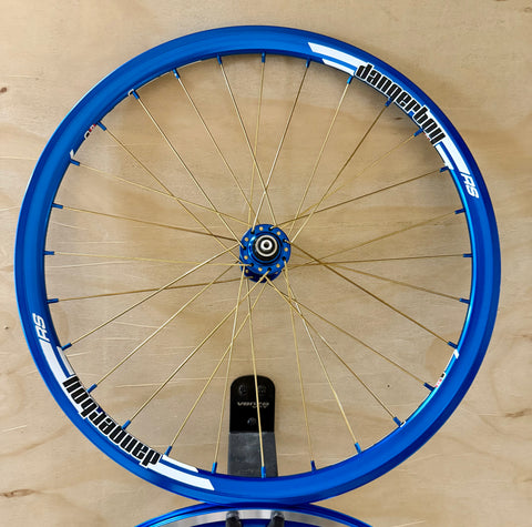 Expert 28h Dangerboy Wheelset Blue