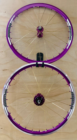 Expert 28h Dangerboy Wheelset Purple