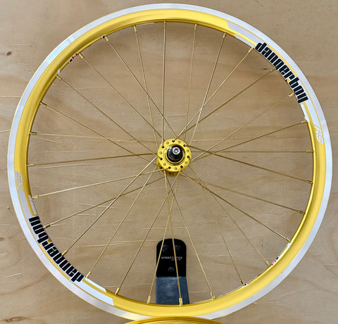 Expert 28h Dangerboy Wheelset  Gold