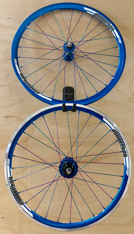Expert 28h Dangerboy Wheelset Blue