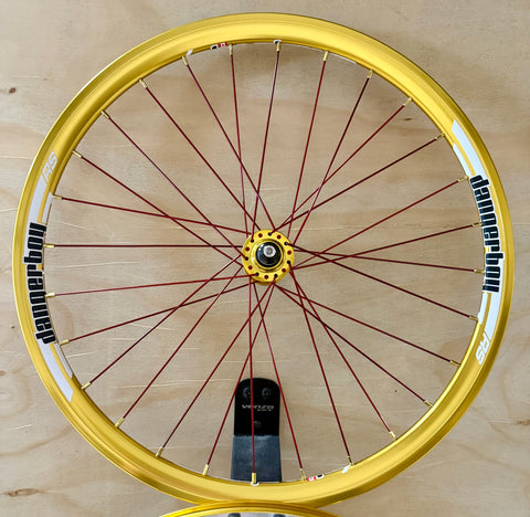 Expert 28h Dangerboy Wheelset Gold