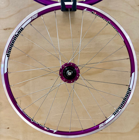 Mini 28h Dangerboy Wheelset Purple