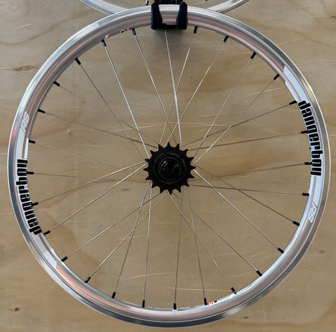 Expert 28h Dangerboy Wheelset Silver