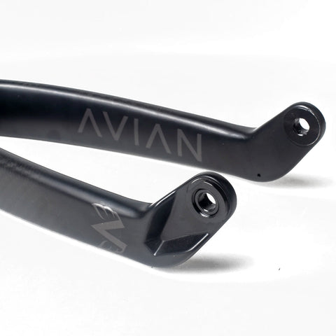 Avian Versus Fork Dropout Adapters